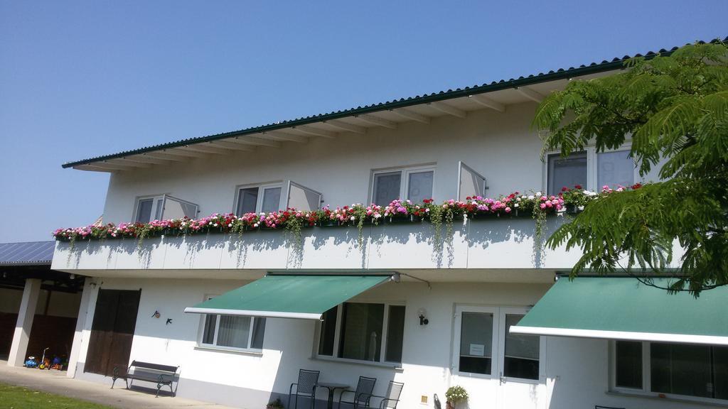 Pension Joseph Haydn Podersdorf am See Room photo